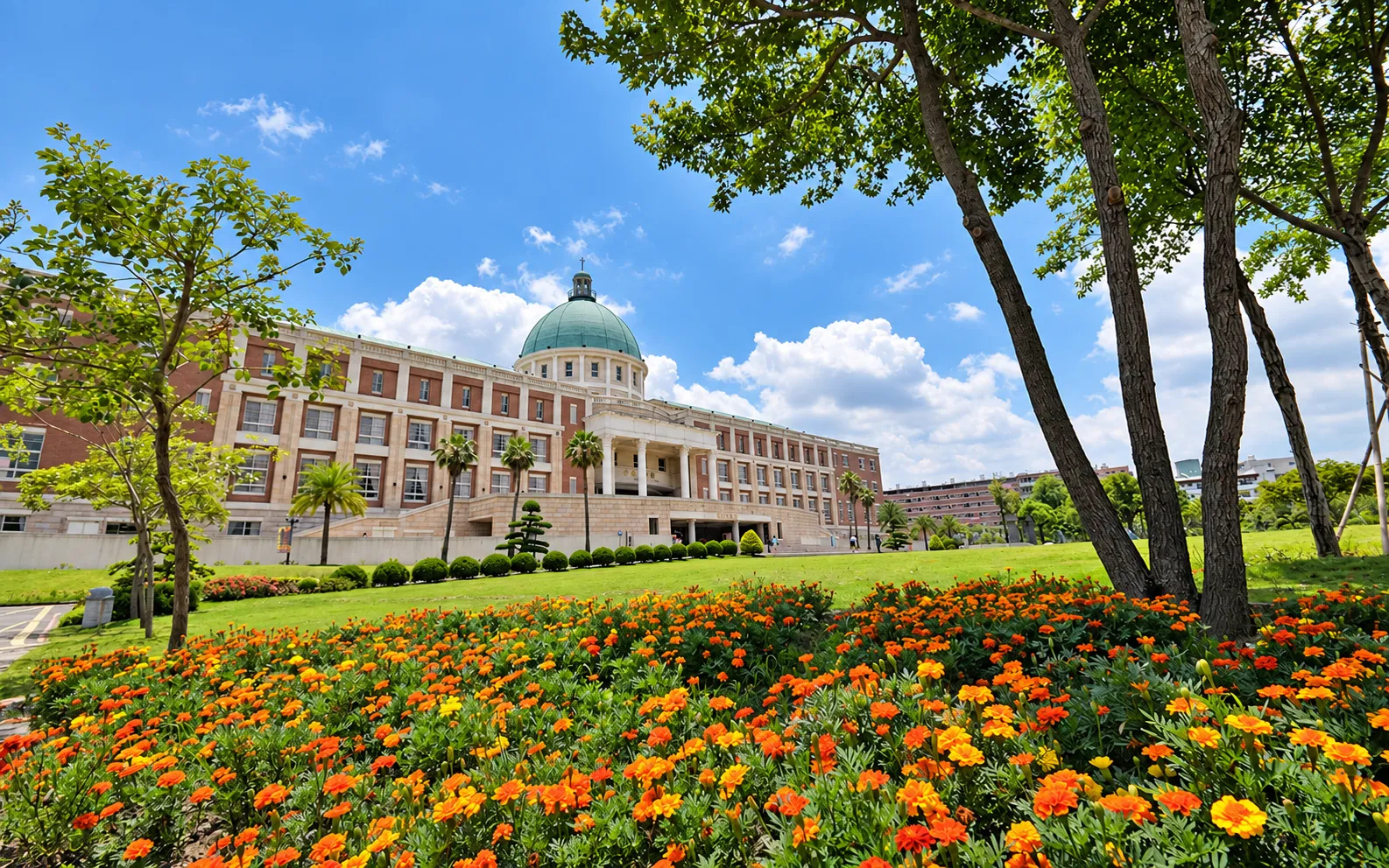 Khuôn viên xanh và thông minh tại Asia University tạo môi trường để sinh viên quan sát cách công nghệ và phát triển bền vững được ứng dụng trong thực tế